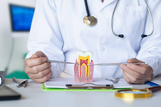  New London, CT Emergency Dentist Pros
